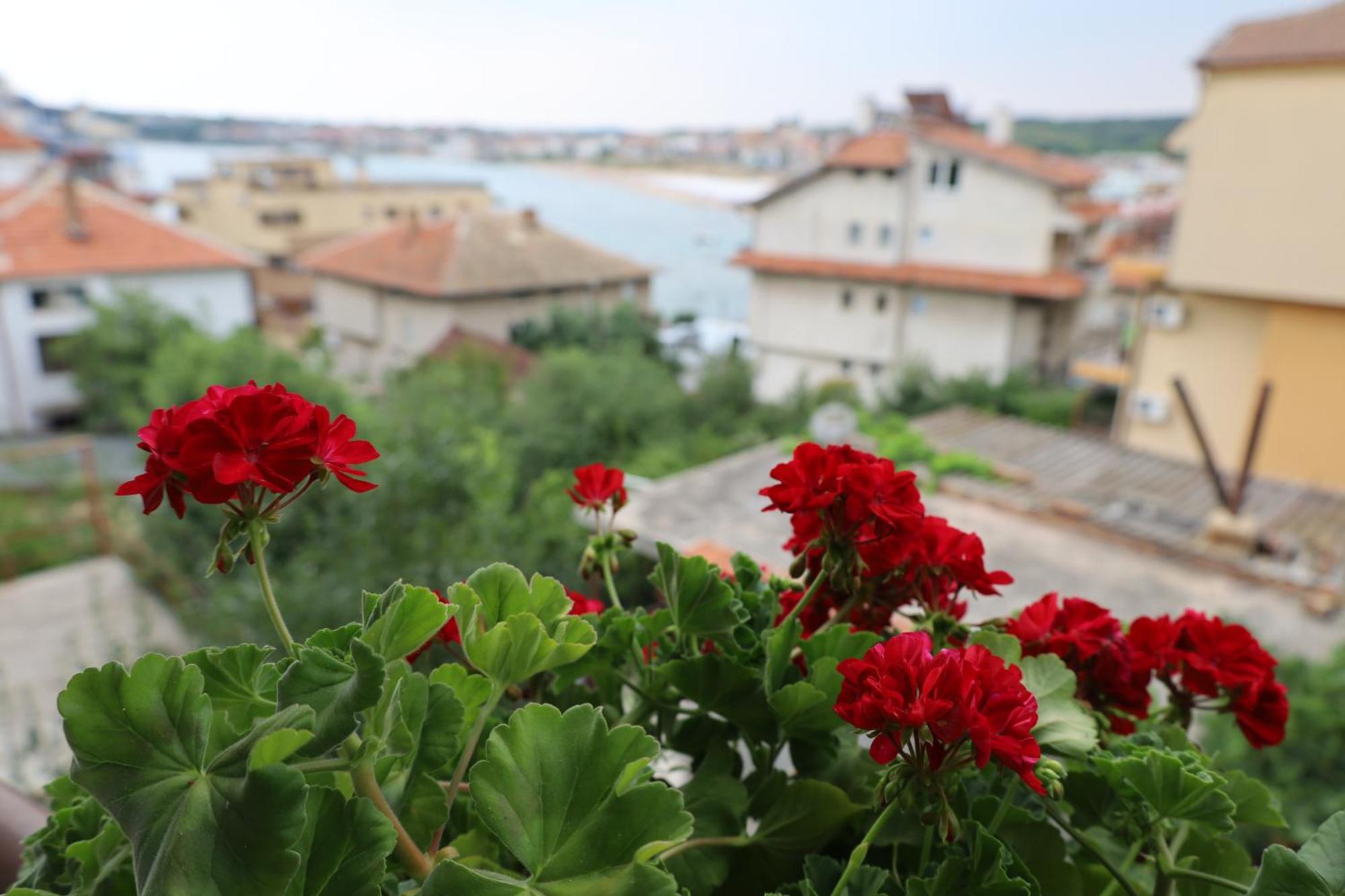 Kalina Guest Rooms Σωζόπολη Εξωτερικό φωτογραφία